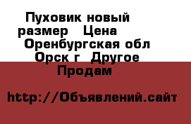 Пуховик новый 44-46 размер › Цена ­ 1 800 - Оренбургская обл., Орск г. Другое » Продам   